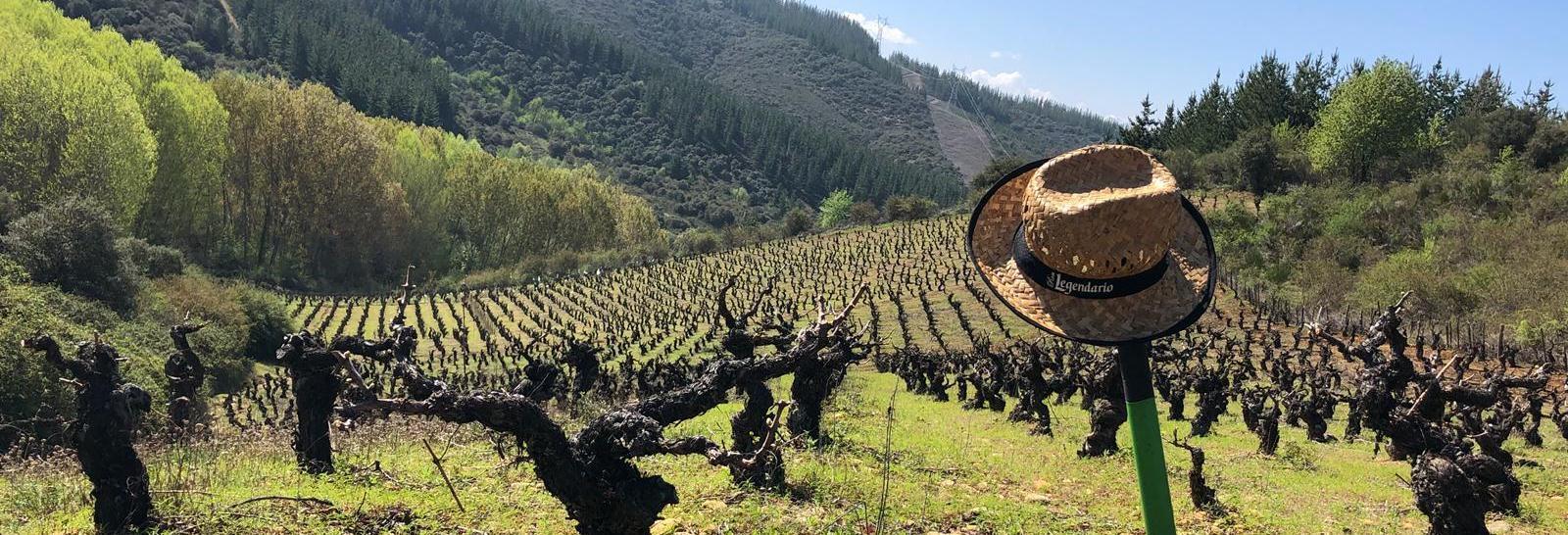 La Toscana del Bierzo